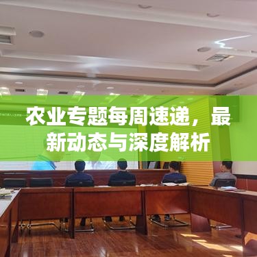 农业专题每周速递，最新动态与深度解析