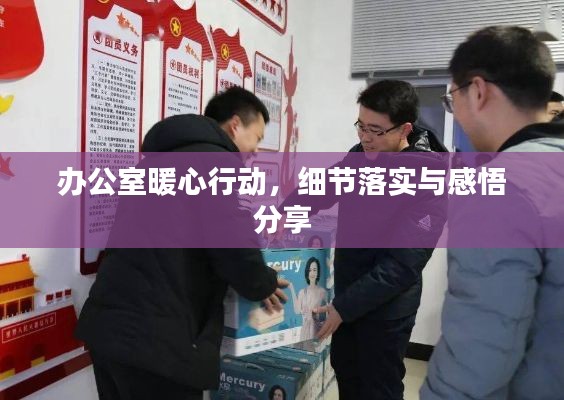 办公室暖心行动，细节落实与感悟分享