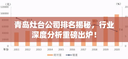 青岛灶台公司排名揭秘，行业深度分析重磅出炉！