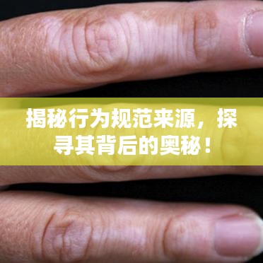 2025年6月11日 第2页