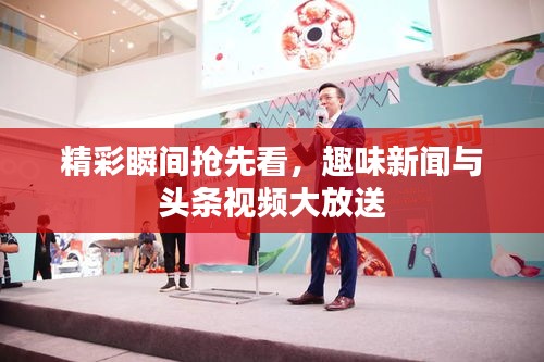 精彩瞬间抢先看，趣味新闻与头条视频大放送
