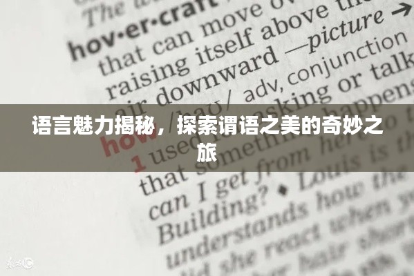 语言魅力揭秘，探索谓语之美的奇妙之旅