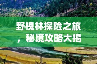 野槐林探险之旅，秘境攻略大揭秘！