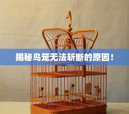 揭秘鸟笼无法斩断的原因！