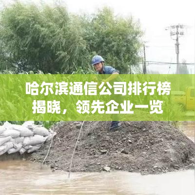 哈尔滨通信公司排行榜揭晓，领先企业一览