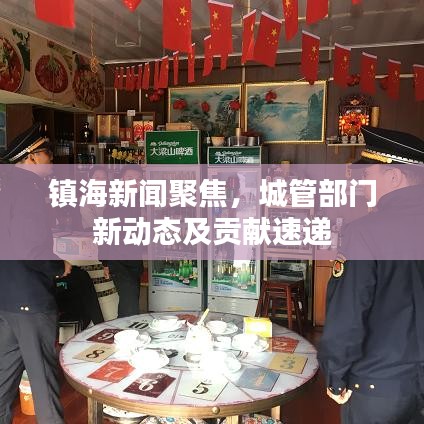 镇海新闻聚焦，城管部门新动态及贡献速递