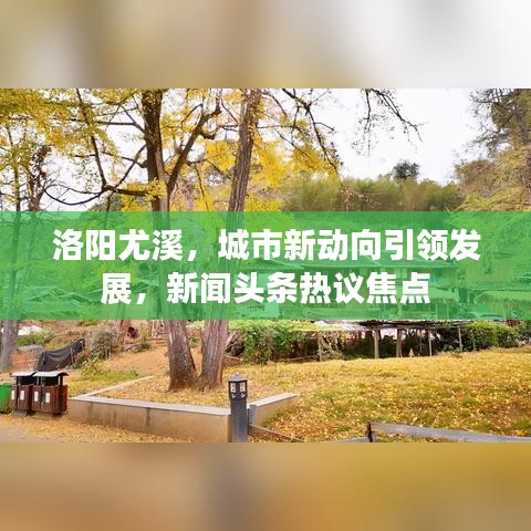 洛阳尤溪，城市新动向引领发展，新闻头条热议焦点