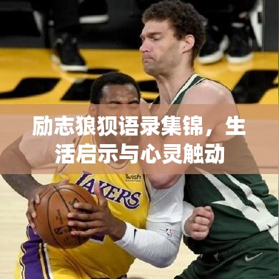 励志狼狈语录集锦，生活启示与心灵触动