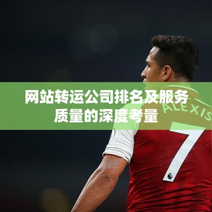 网站转运公司排名及服务质量的深度考量