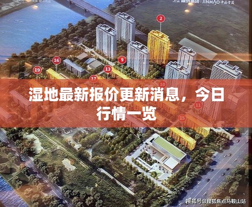 湿地最新报价更新消息，今日行情一览