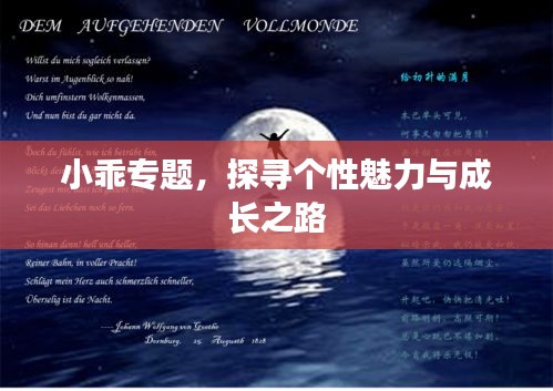 小乖专题，探寻个性魅力与成长之路