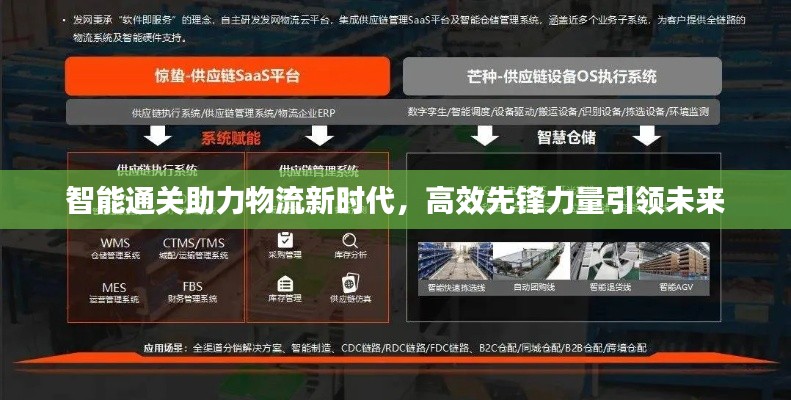智能通关助力物流新时代，高效先锋力量引领未来