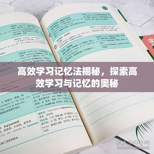 高效学习记忆法揭秘，探索高效学习与记忆的奥秘