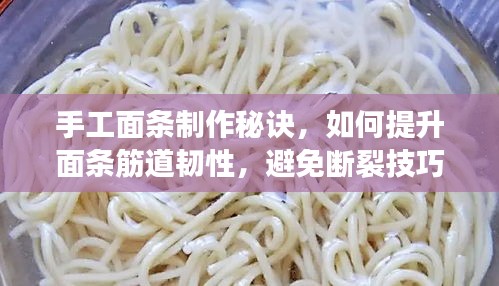 手工面条制作秘诀，如何提升面条筋道韧性，避免断裂技巧大揭秘！