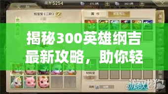 揭秘300英雄纲吉最新攻略，助你轻松上分！