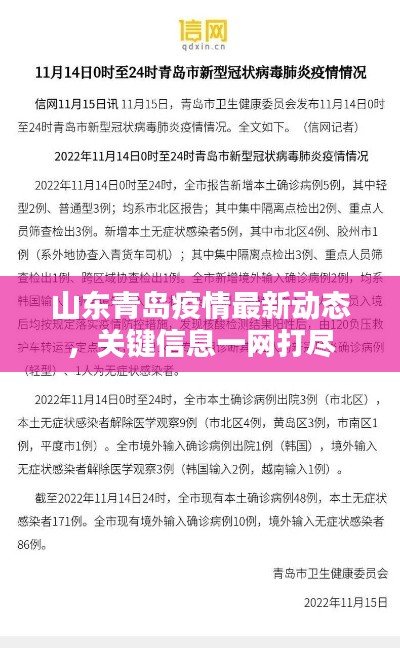 山东青岛疫情最新动态，关键信息一网打尽