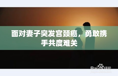 明夷于飞