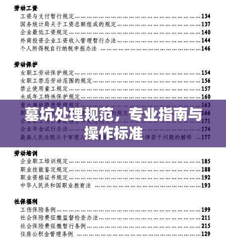 飞禽走兽